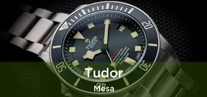  Tudor Mesa