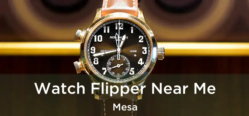  Watch Flipper Near Me Mesa
